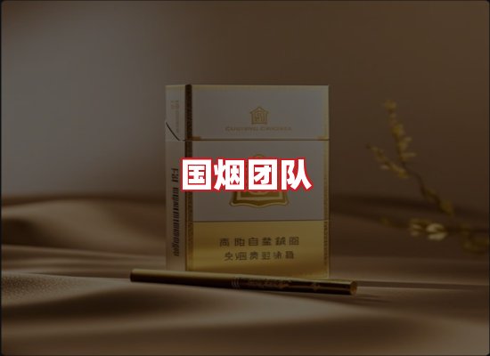 国烟团队